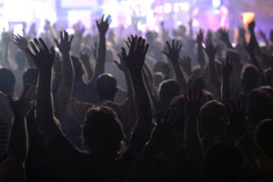 Photo Credit: stuffofwonder.com